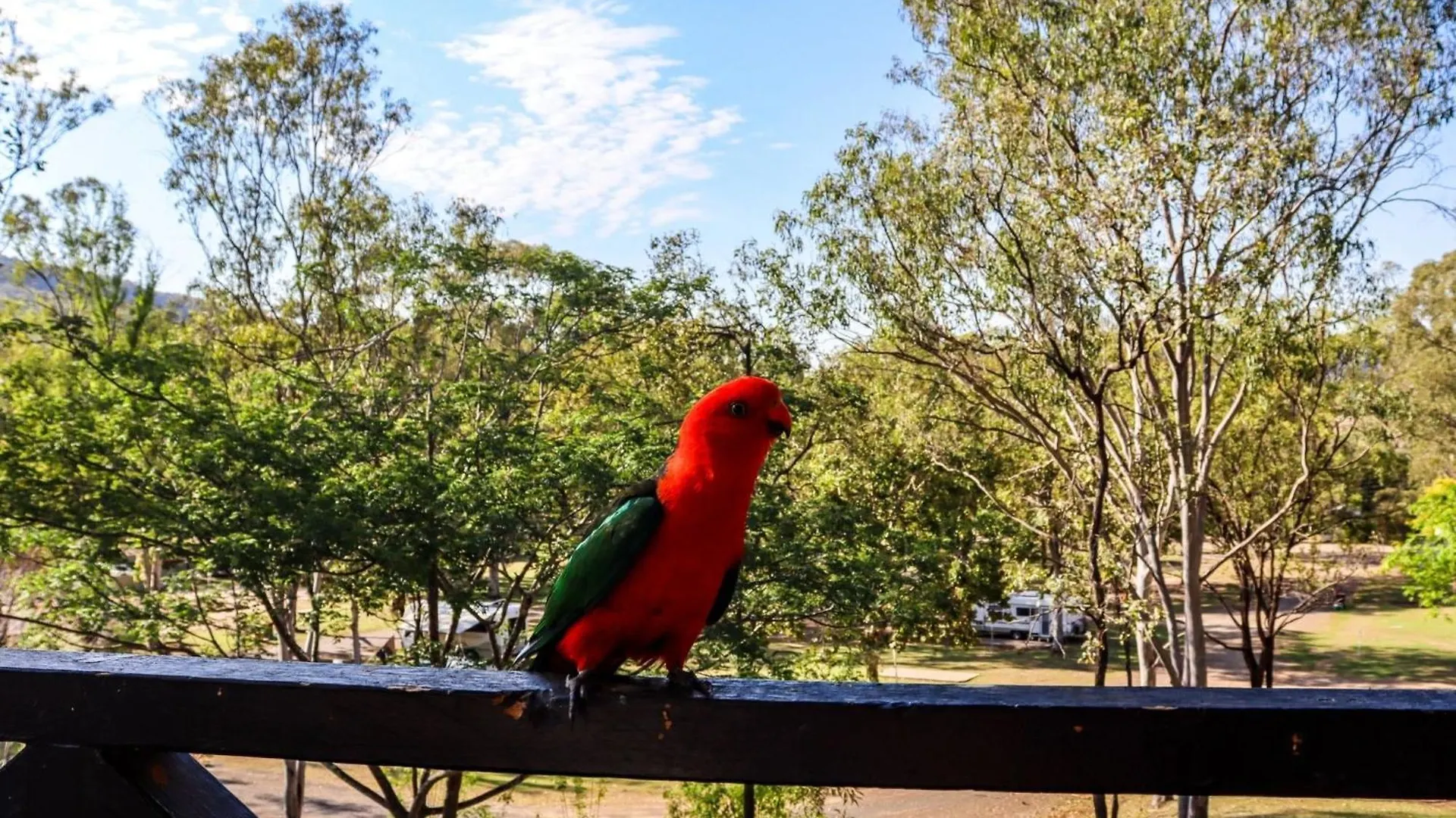 Big4 Breeze Holiday Parks - Cania Gorge Australia